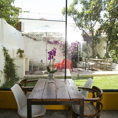 54 サンタ カタリーナ *