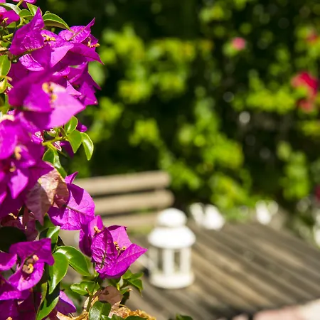 54 サンタ カタリーナ リスボン