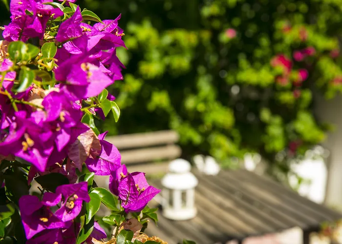 54 Santa Catarina Apartments Lisbon